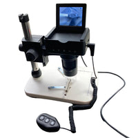 Digital Girdle Viewer