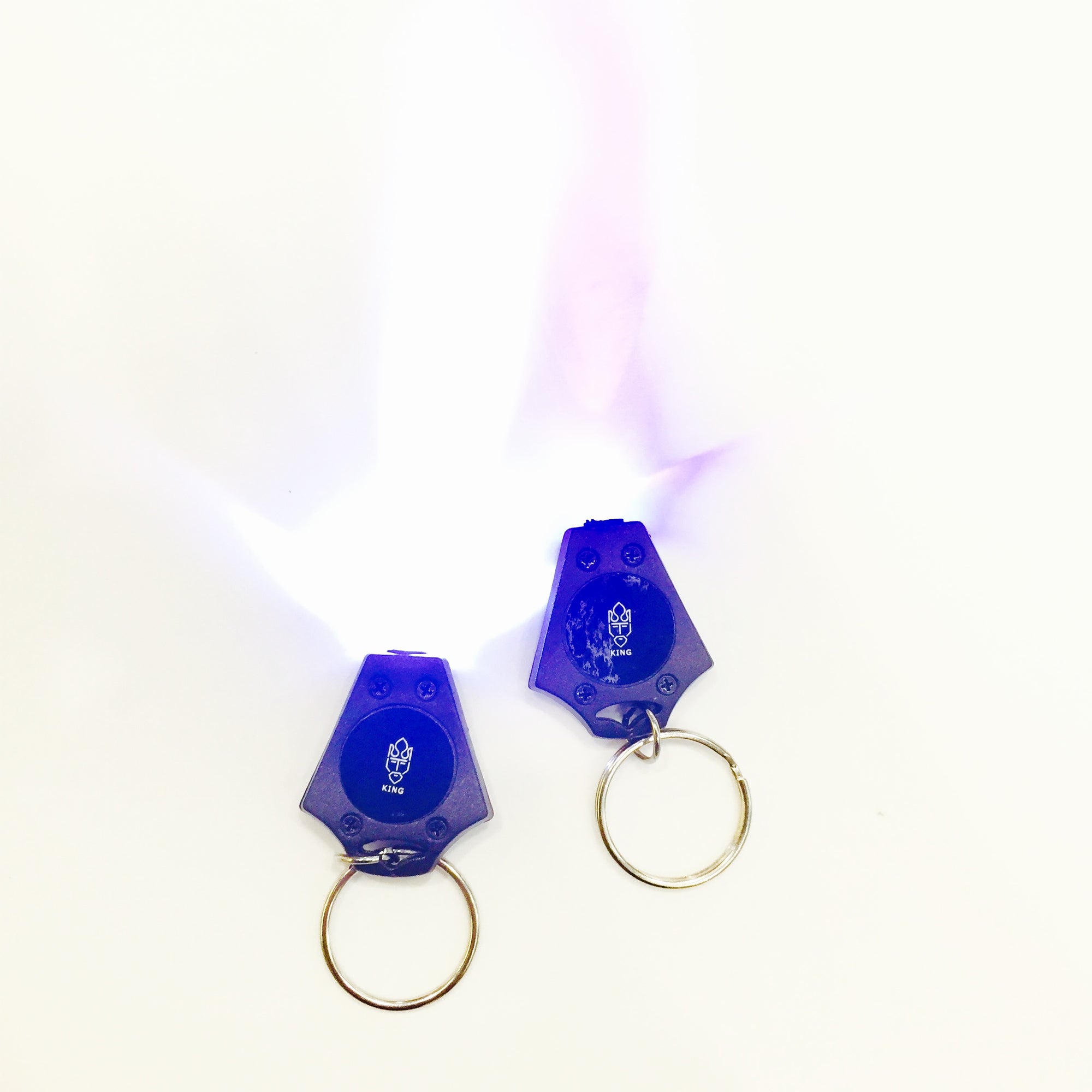 UV + White Light Keychain