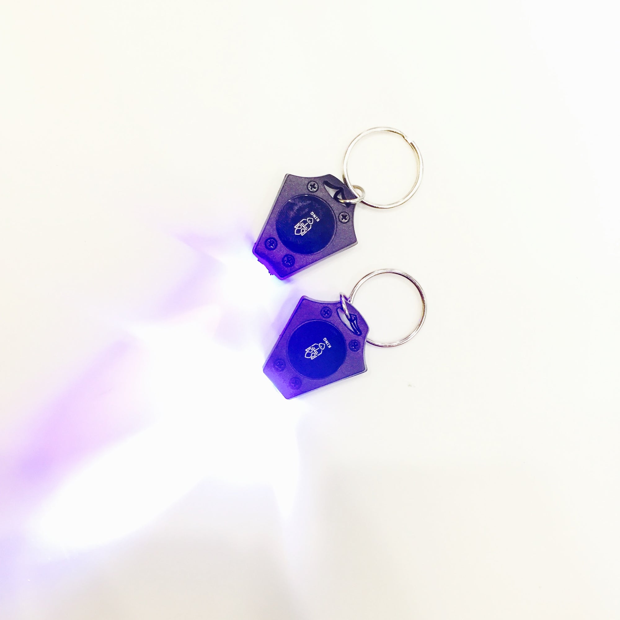 UV + White Light Keychain