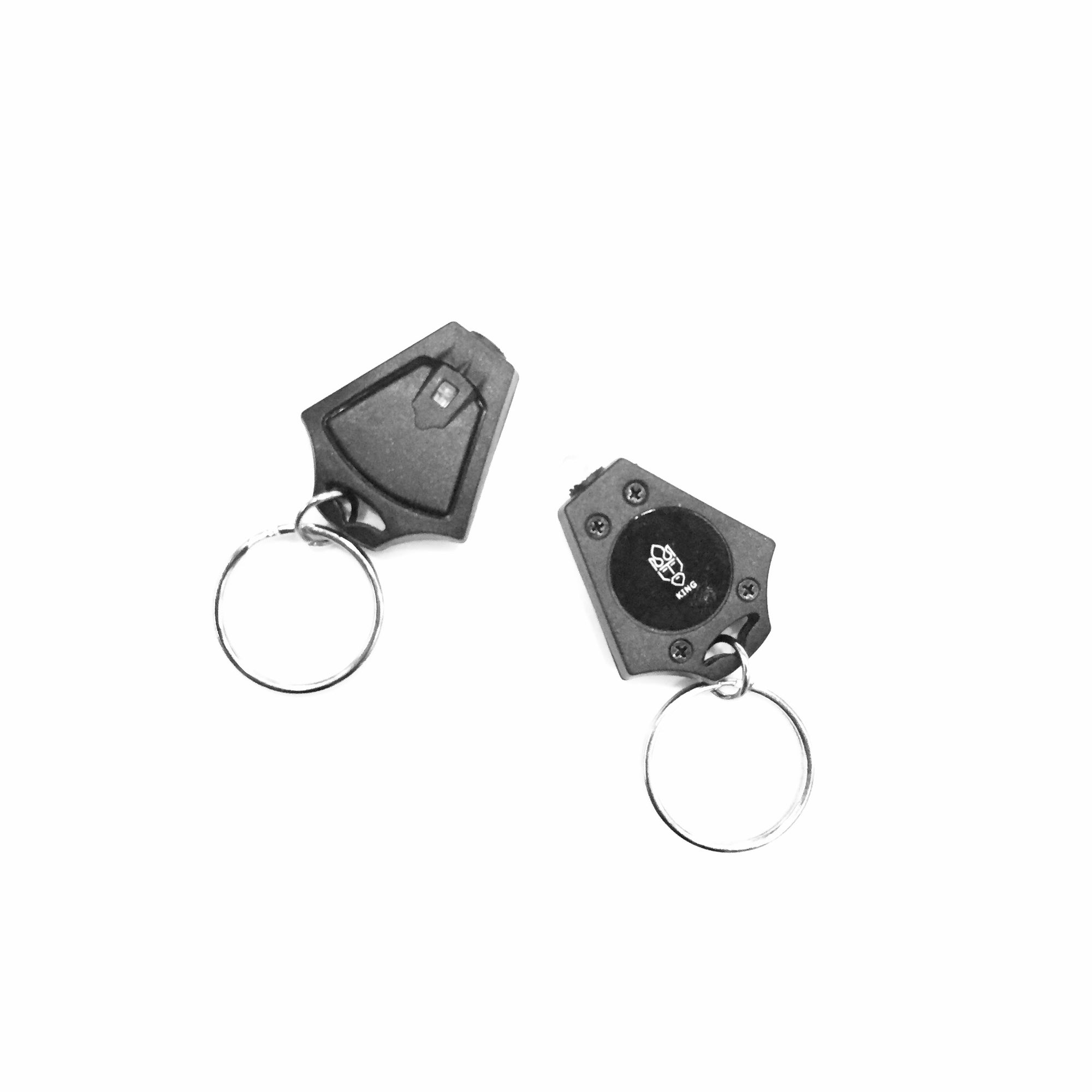 UV + White Light Keychain