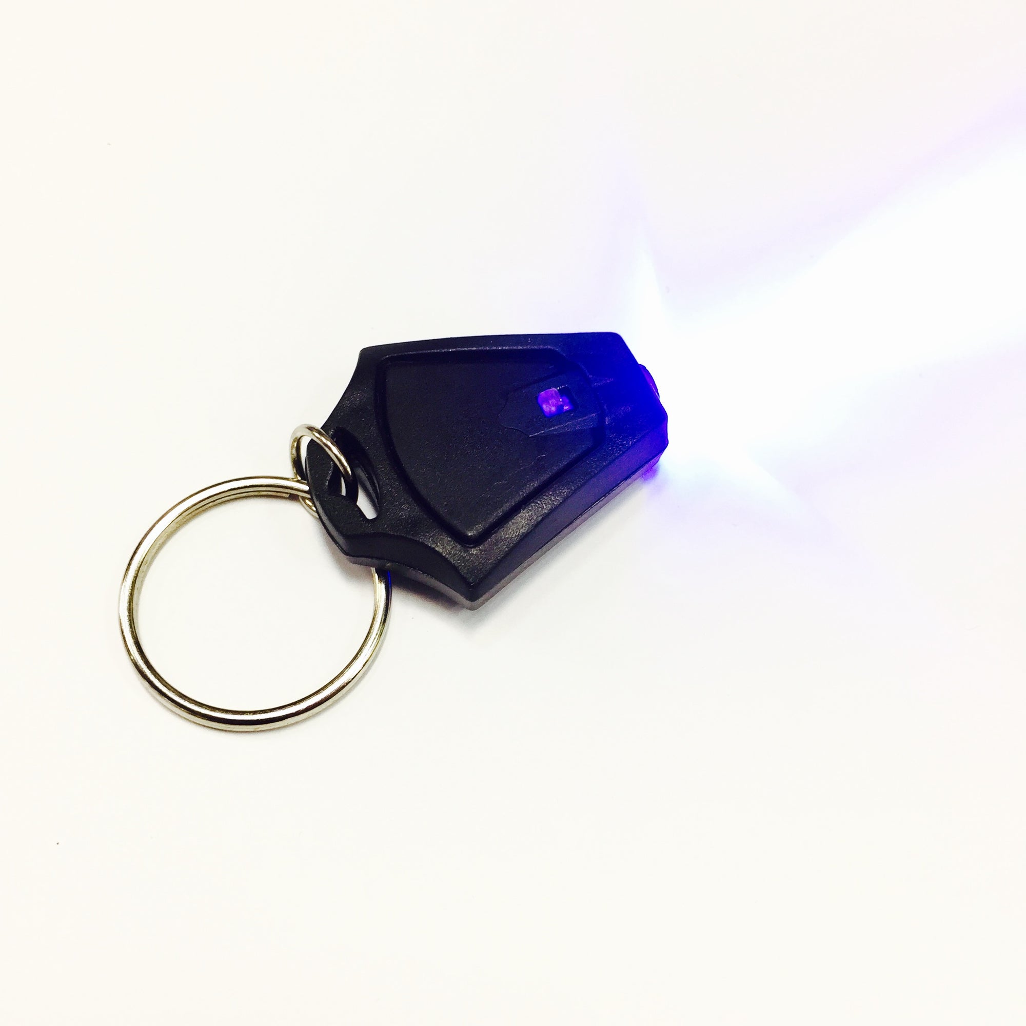 UV + White Light Keychain