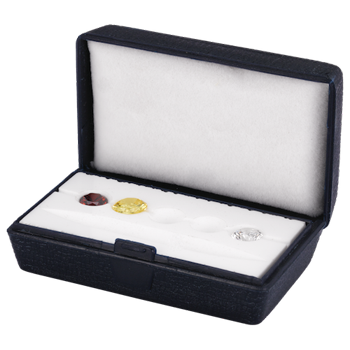 Personal collection diamond color master box (empty)
