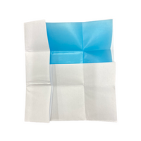 LNG EXE Blue White parcel papers